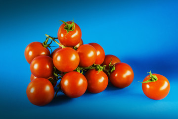 Tomatoes on blue