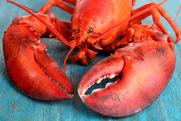Red lobster on wooden table close-up
