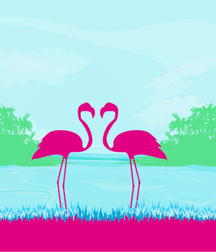 Flamingo couple in wild nature landscape