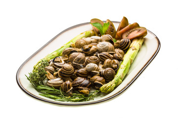 Escargot with asparagus, rosemary, thymus and tomato