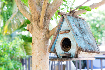 Bird House on a tree