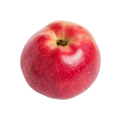 single red apple