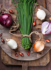 Different varieties of onions
