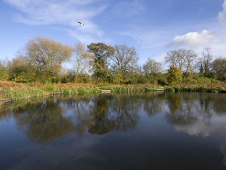 river avon warwick