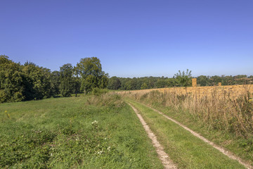 hay bales