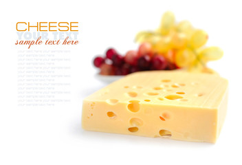 Piece of cheese is with vine on a white background