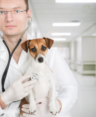 Vet holding dog in the interior of the veterinary clinic.