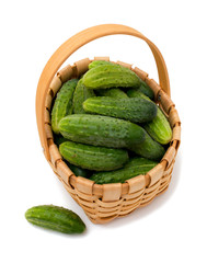 fresh cucumbers in a basket © Diana Taliun