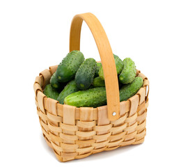 fresh cucumbers in a basket