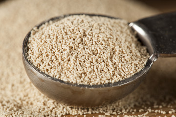 Organic Raw Yeast for baking bread