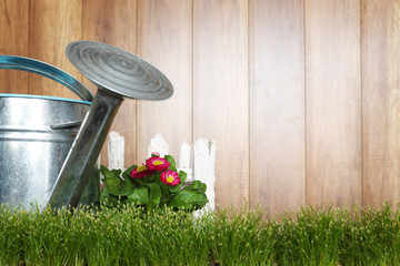 Spring gardening