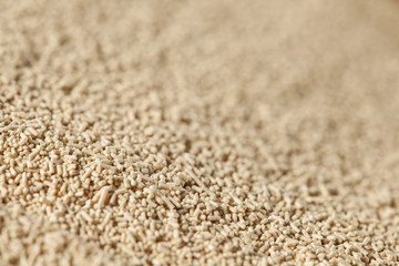 Organic Raw Yeast for baking bread