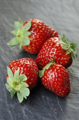 Strawberries on gray slate