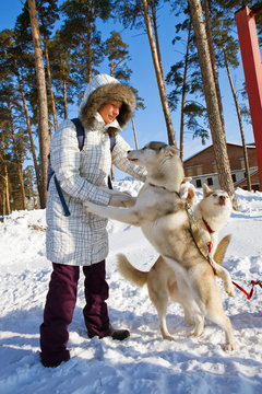young woman with sled dogs