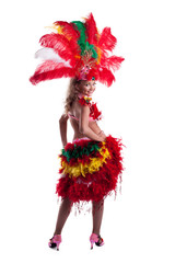 Cheerful girl posing in colorful carnival costume