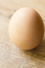 Egg