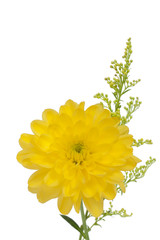 Yellow Flower
