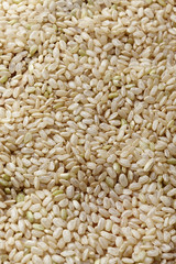 uncooked brown rice in a bowel with woody background