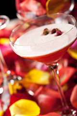 Daiquiri