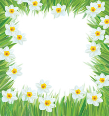 Vector of daffodil flowers frame for spring, Easter's design.