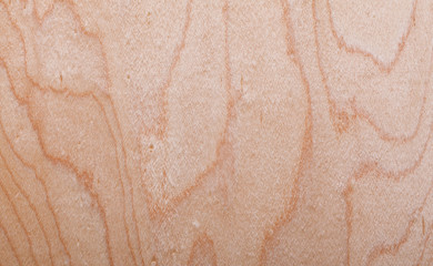 Fototapeta premium wood texture