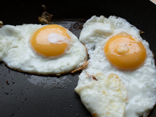 fired eggs