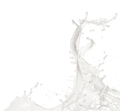  Milk splash, isolated on white background