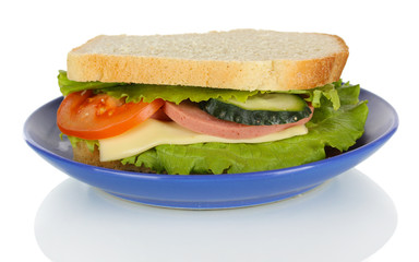 Sandwich on plate isolated on white