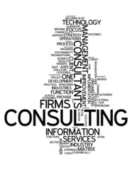 Word Cloud "Consulting"