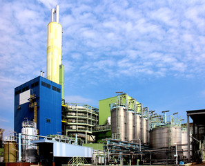 Municipal waste combustion