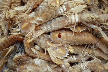 Krebstiere am Fischmarkt