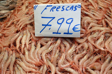 Krebstiere am Fischmarkt