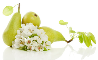 Pears  and  blossom