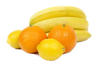 fresh fish on white background