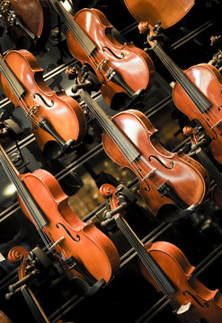 Violins, violas and cellos