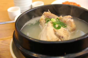 chicken soup