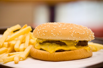 Burger and  french fries