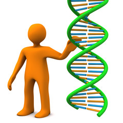 Manikin DNA