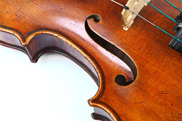 violin