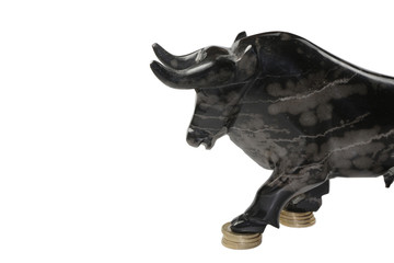 Der Stier