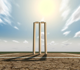 Cricket Pitch And Wickets Front - obrazy, fototapety, plakaty