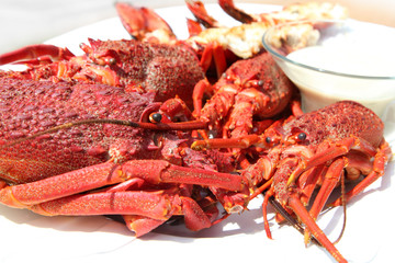 Crayfish starter