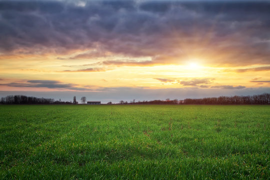 Landscape with green meadow and sun. Sunset.