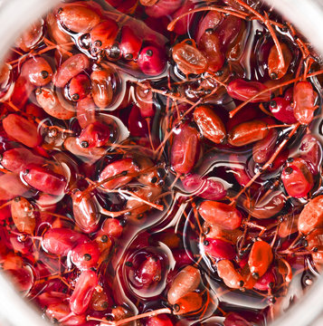 barberries barberis in own juice preserves