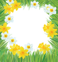 Fototapeta premium Vector of daffodil flowers frame for spring, Easter's design.