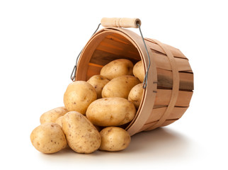 Golden Potatoes in a Basket