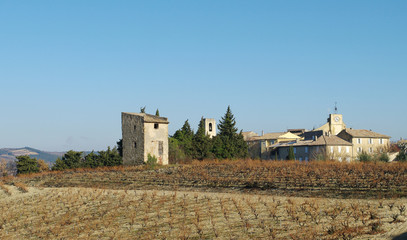 Fototapeta na wymiar campagne provençale - buisson