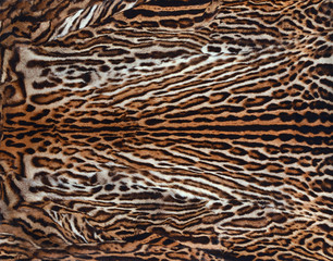 real leopard  skin