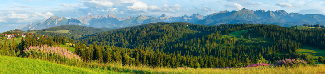 Obrazy na Plexi  Letnia panorama kraju górskiego.