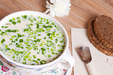 Russian national dish - Okroshka with green onions